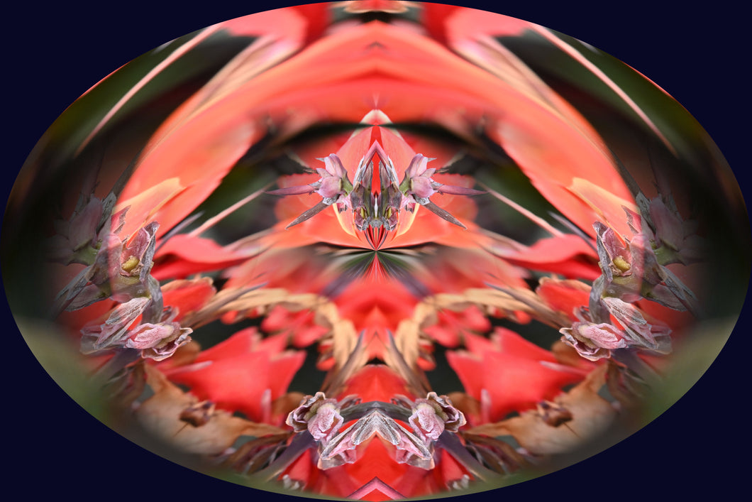 CZ Card - Feminine Sexual Desire - Energizing Tonic by Cuzco Artist Channeller ( Teresa Rubiolo)