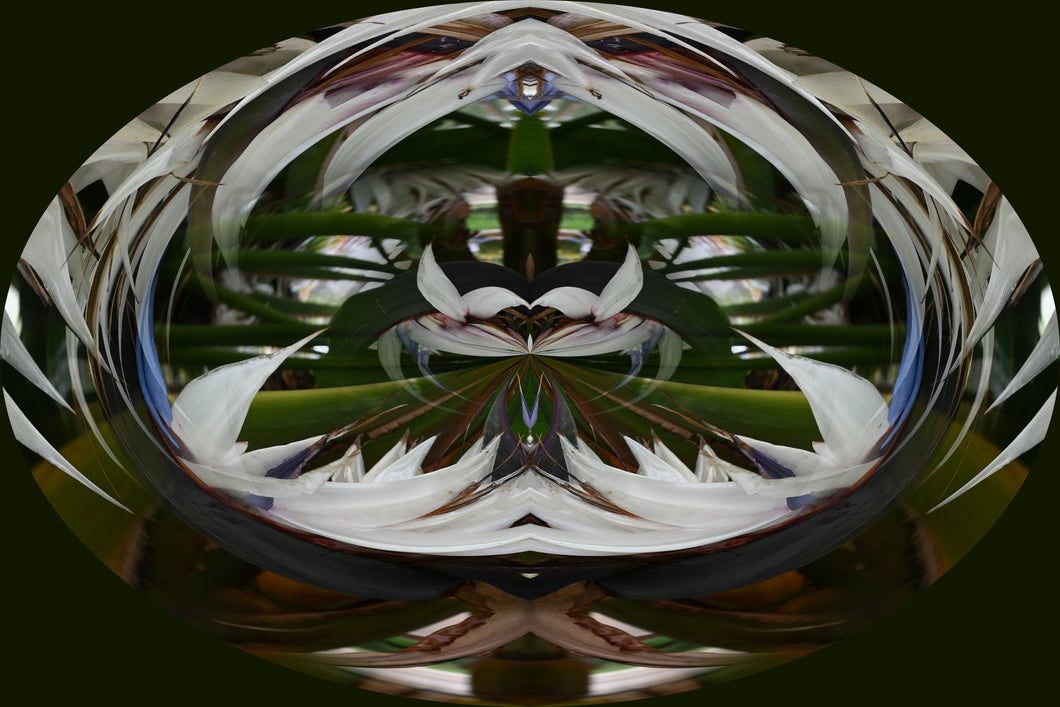 CZ Card - I am free from needless burdens -Mystical Essence by Cuzco Artist Channeller ( Teresa Rubiolo)