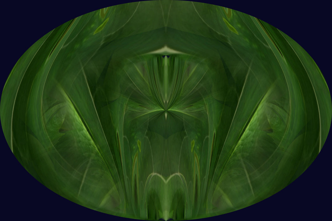 CZ Card - Wellness Bath in the Forest- Mystical Essence by Cuzco Artist Channeller ( Teresa Rubiolo)