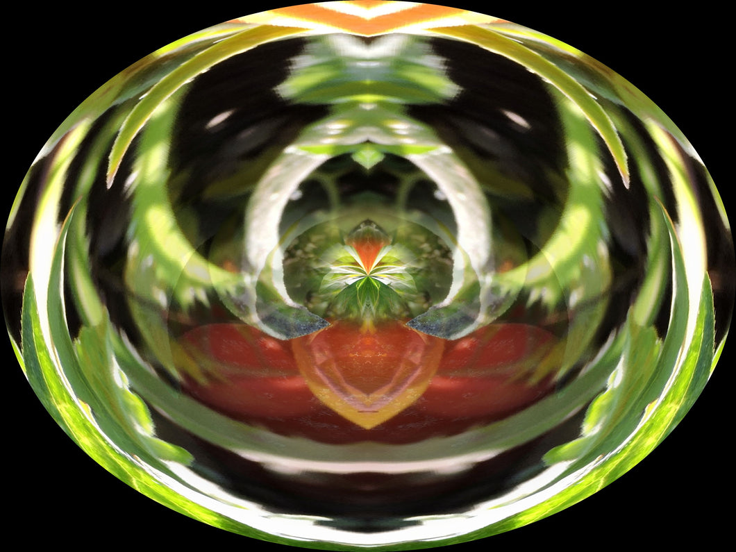 CZ Card - Carrots Extract - by Cuzco Artist Channeller