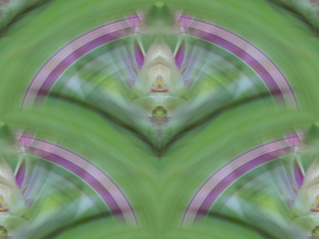 CZ Card - Emerald Lights Sacred Abundance by Cuzco