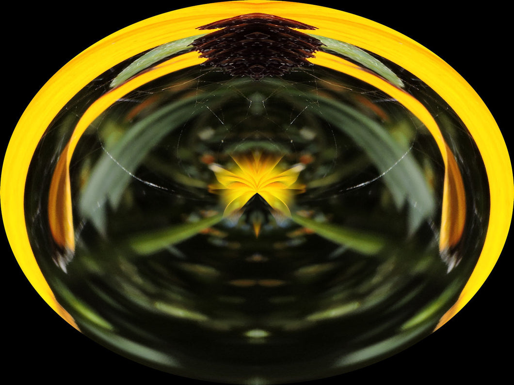 Greta's Elixirs - Magical Properties of the Basil Plant - Elixir of Well-being - by Teresa Rubiolo 2025  -